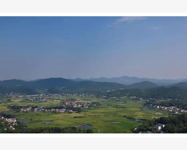 脾胃虚寒饮食积滞的调理方法
