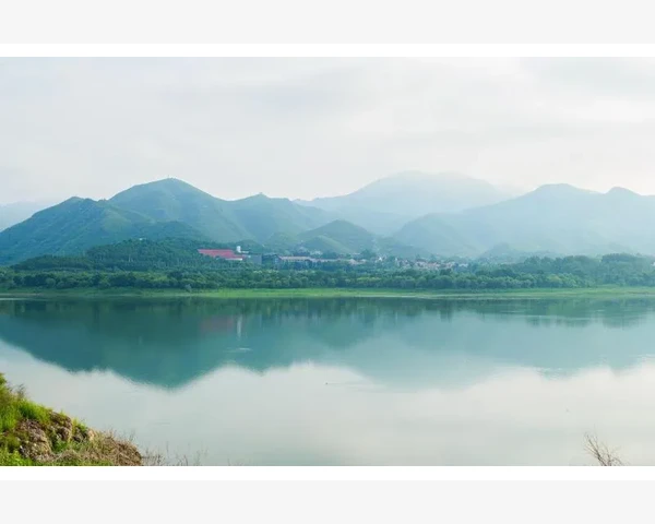 大人化痰止咳润肺：保持呼吸畅快，呵护健康之道