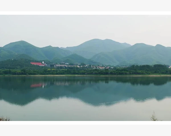 中医草药疗法：保护脾脾胃中药，守护身体健康